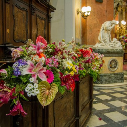 Projekt Rozkvetlé památky v předchozích letech