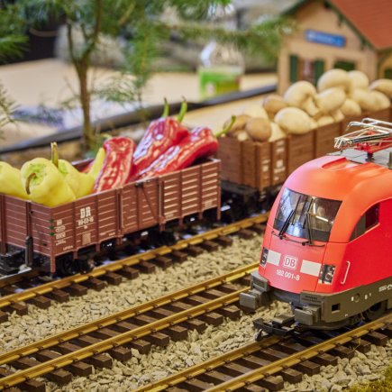 Soukromý archiv Jana Bartoně