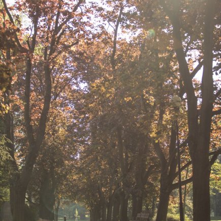 Autor: Jan andreáš