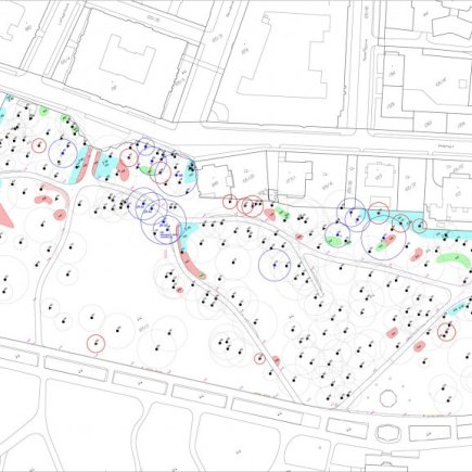 Smetanovy sady_asanace_Foto: Radek Pavlačka