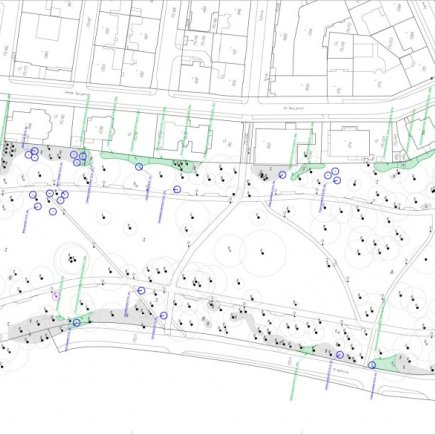 Čechovy sady_výsadby_Foto: Radek Pavlačka