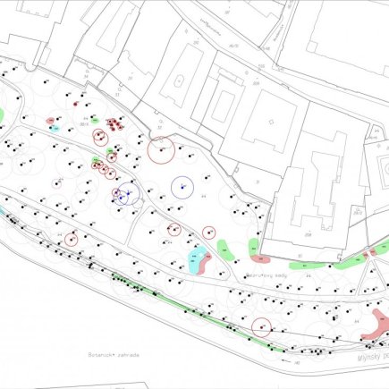 Bezručovy sady_asanace_Foto: Radek Pavlačka