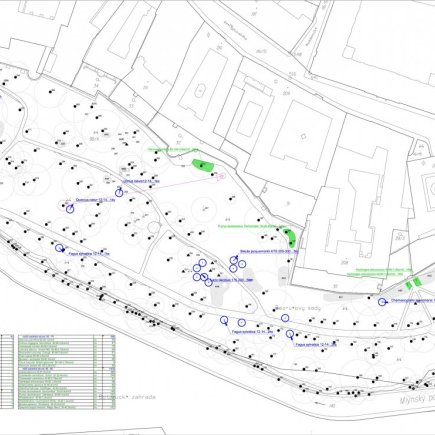 Bezručovy sady_výsadby_Foto: Radek Pavlačka