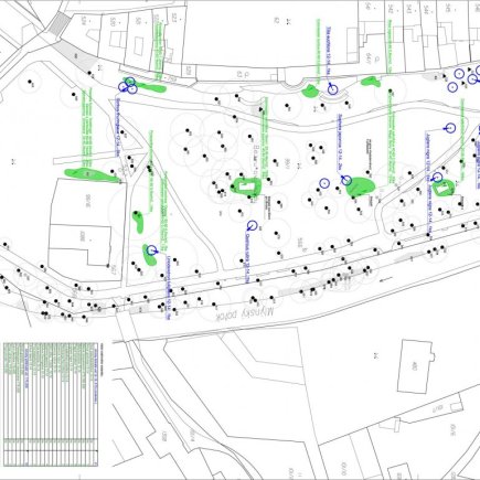 Bezručovy sady_výsadby_2.část_Foto: Radek Pavlačka