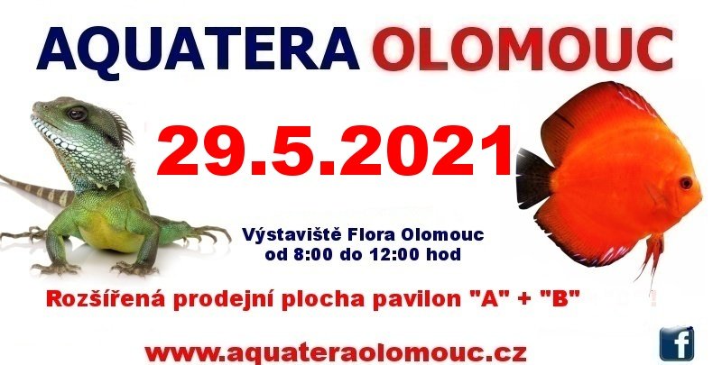 Aquatera Olomouc 